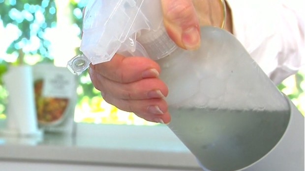 DIY stain removal spray 