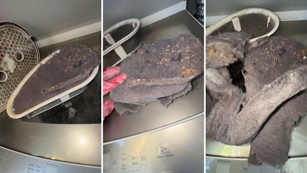 Lint trap dryer filter never cleaned revealed shocking amount of lint inside