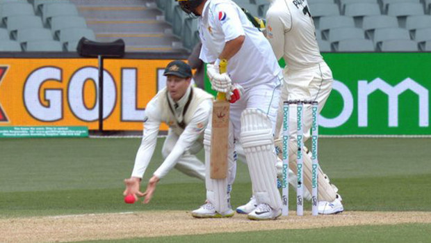 Steve Smith drops a catch in the slips