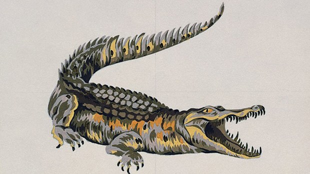 The original Locoste crocodile illustration