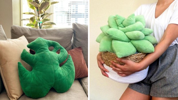 Green Philosophy Co indoor plant cushions