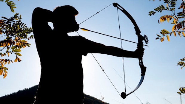 Compound bow and arrow stock