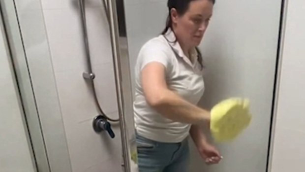 Cleaning tips disinfectant 