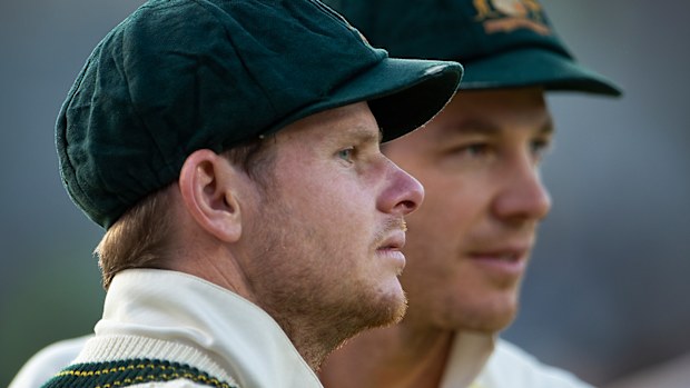 Steve Smith Tim Paine