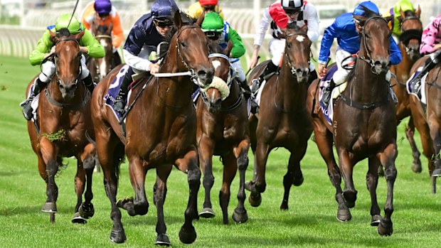 Horse race at Flemington Racecourse