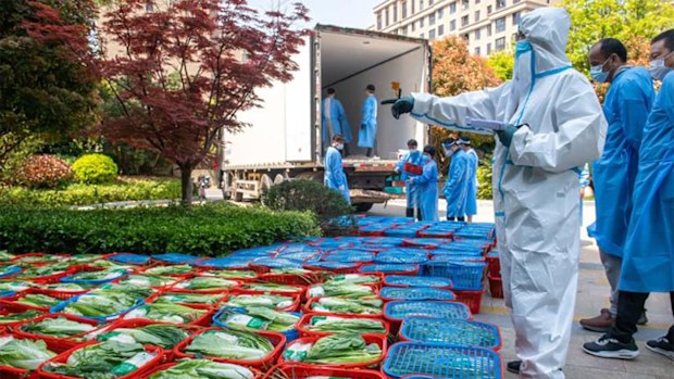 A community volunteer examines vegetables to be distributed to residents under lockdown in Pudong district in Shanghai on April 12.