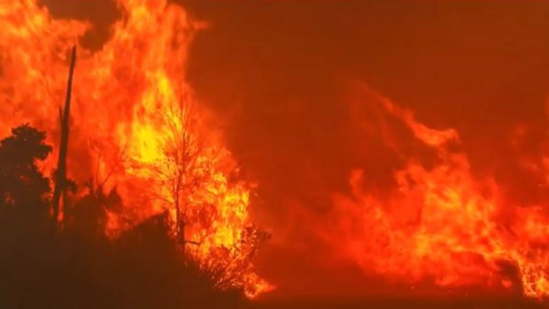 South Australian fires