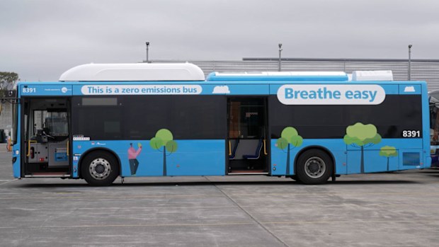 Australia's largest electric bus fleet rolled out in Sydney's Inner West.