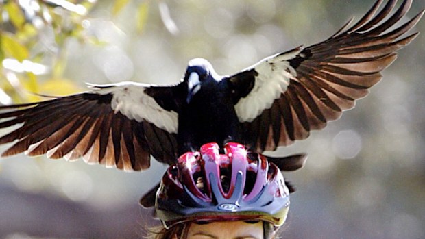257 motorcycle helmet LS2 Matte Black Strobe II Solid Modular Helmet