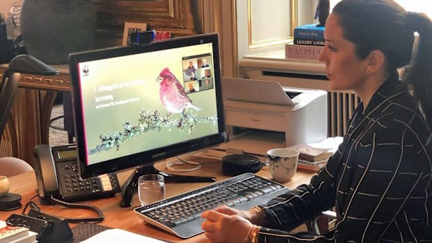 Princess Mary during a video call with the WWF World Wide Fund for Nature