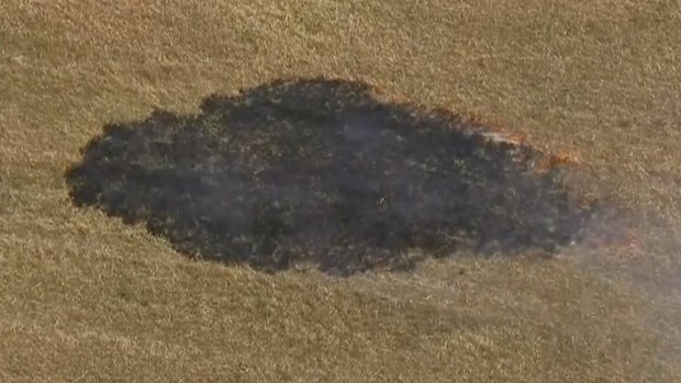 A grass fire brought out the red flags during qualifying for the Japanese Grand Prix.