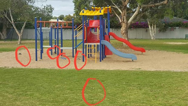 Daniel Edgar's photo of the play equipment, with the needles' locations circled. (Facebook)