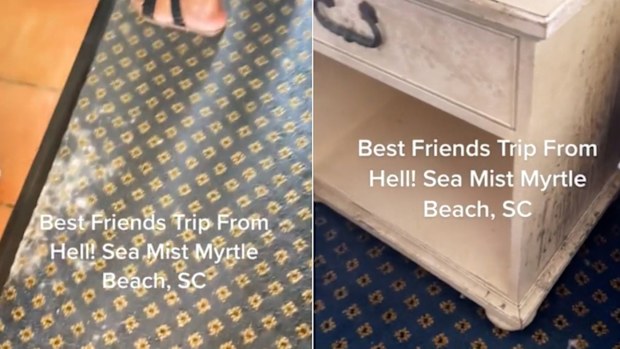 Mouldy hotel horror