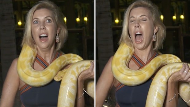 Catriona's Greatest Getaways host giant yellow python freak out