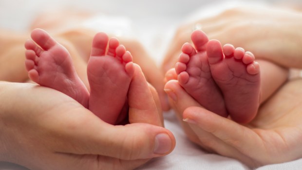 Semi-identical twins born in Queensland are a world first