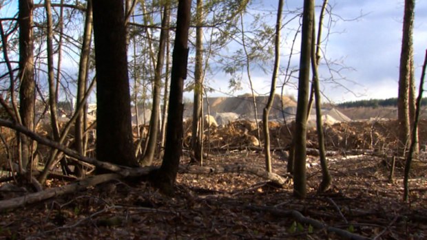 Anthony Spinelli, who police said bought and detonated around 36 kilograms of the explosive Tannerite at a gender reveal party, turned himself into the Kingston Police Department.