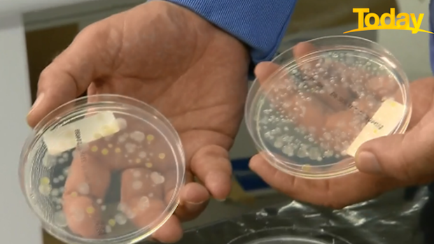 On the right are the results for the washed and ready to eat bacteria. 