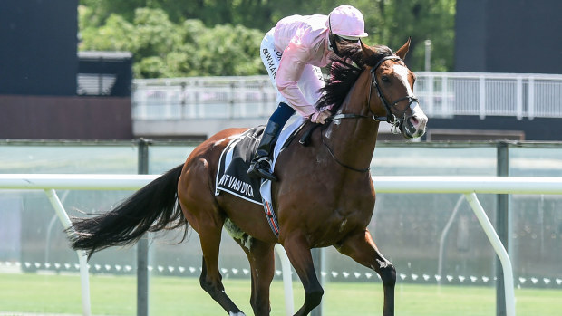 Anthony Van Dyck (IRE) ridden by Hugh Bowman prior to the Lexus Melbourne Cup at Flemington Racecourse