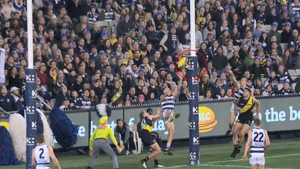 Geelong Cats