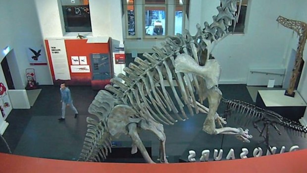 This vision was captured inside the Australian Museum at the weekend.