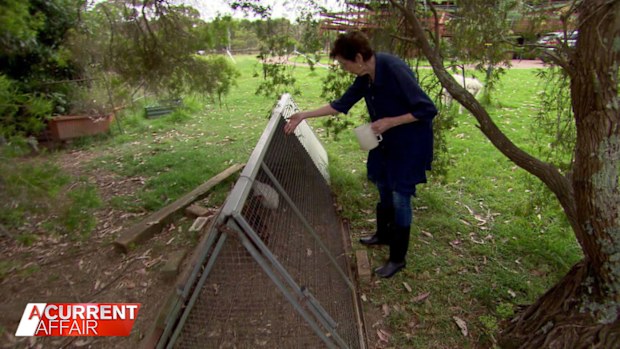 A Current Affair: Retired Sydney nurse claims she's owed thousands ...