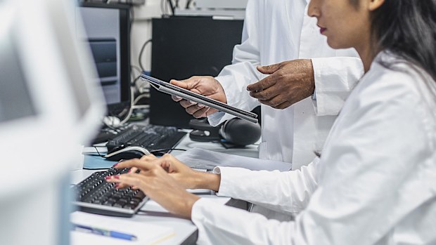 Scientists working in the laboratory