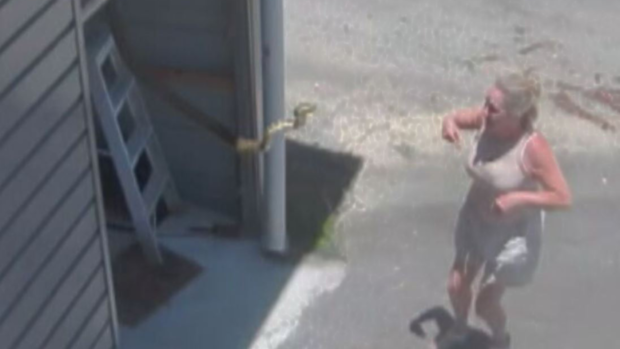 Rachel Jelley Currumbin snake garage Today Show November 26, 2024