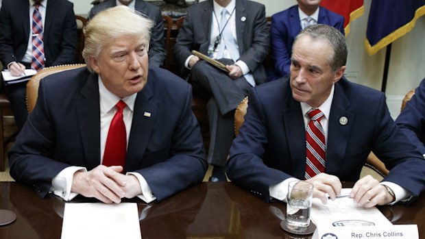 Chris Collins was the first congressman to endorse Donald Trump's presidential bid.