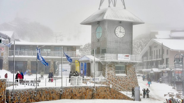 Police found Conrad Whitlock's BMW near Mount Buller Ski Resort in the Victorian Alps.