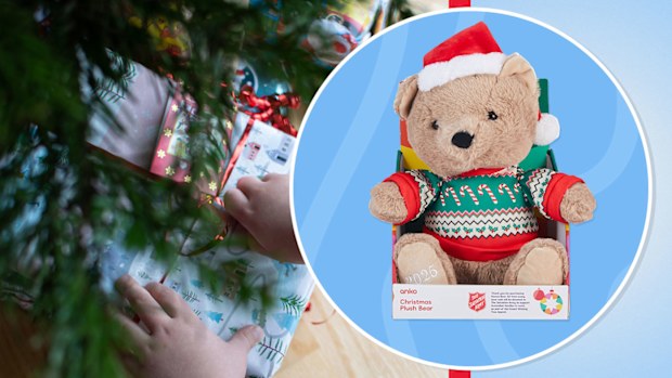 Kenzie Bear wishing tree Kmart