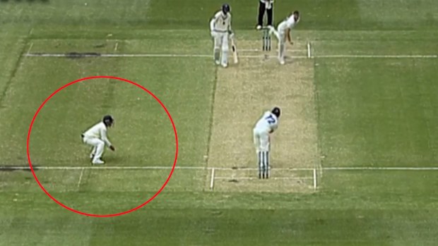 Finch is struck in the helmet while fielding