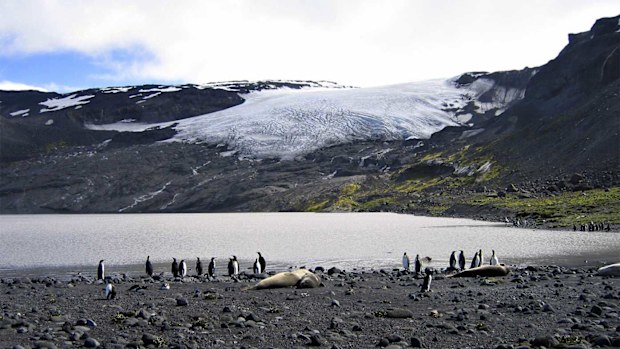 No people live on Heard Island, but it is home to penguins and seals.