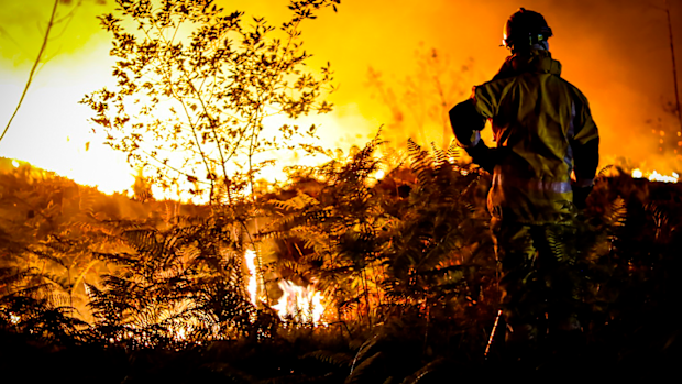 Wildfires are raging out of control in France and Spain as Europe wilts under an unusually extreme heat wave that authorities in Madrid blamed for hundreds of deaths.