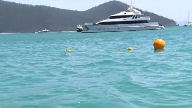 The new technology could launch Australia into a new wave of shark attack prevention previously unseen around the globe.