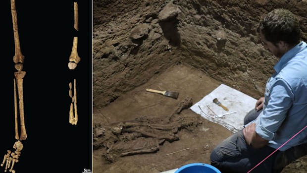 Dr Tim Maloney takes in the discovery of the ancient skeletal remains.