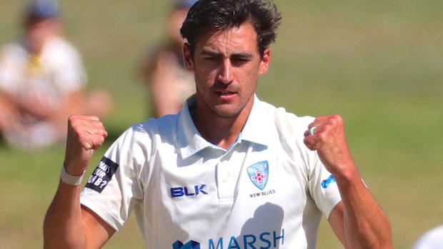 NSW bowler Mitchell Starc celebrates dismissing Tasmania's Jordan Silk LBW