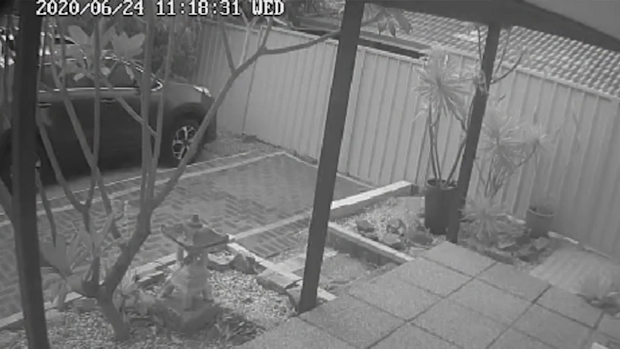 Long managed to access several live-feeds this morning.
