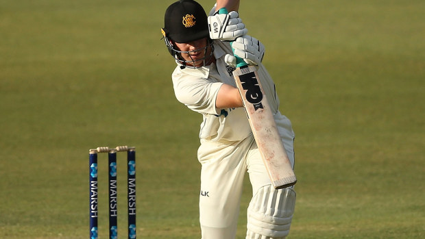 Cameron Green notched his maiden Sheffield Shield hundred against Queensland.