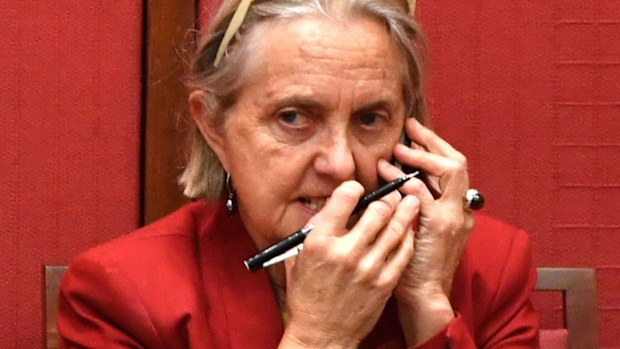Greens Senator Lee Rhiannon. (AAP)