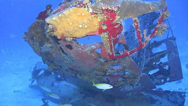 Tail section from an SBD-5 Dauntless dive bomber resting on the floor of Truk Lagoon.