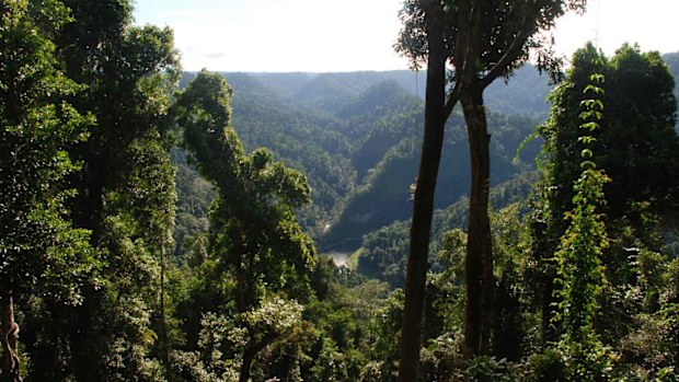 Wooroonooran National Park. (AAP)