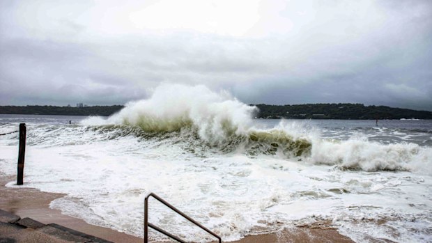 Sydney floods NSW Nielsen Park wild weather