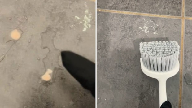 $4 kmart brush cleaner swears by