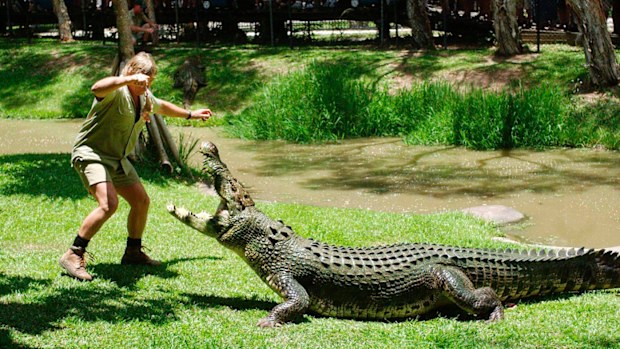 Steve Irwin was known for his passion for crocodiles earning him the name 'Croc Hunter' 