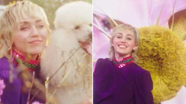 Miley Cyrus stars in Gucci's latest fragrance campaign | Nine.com.au