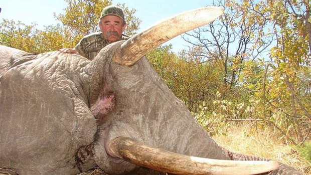 Ernie Dosio was trampled to death by a herd of elephants.