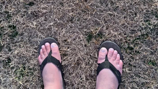 Stephen Edgley woke up to frost in his yard in south west Queensland. 