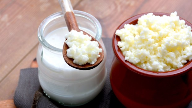Probiotics