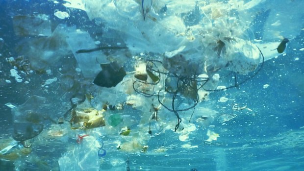 New advertising campaign by NSW government about plastic pollution ahead of single-use ban.