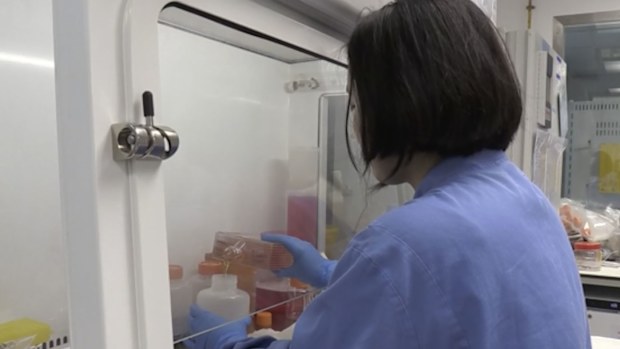 Screen grab taken from video issued by Britain's Oxford University, showing a person working inside the lab working on a potential COVID-19 coronavirus vaccine, untaken by Oxford University in England, Thursday April 23, 2020.
